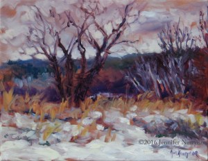 A Plein Air oil painting, sized 11”H x 14”W, completed on site at Pine Hollow in Cuyahoga Valley National Park (CVNP) by Jennifer Newyear.